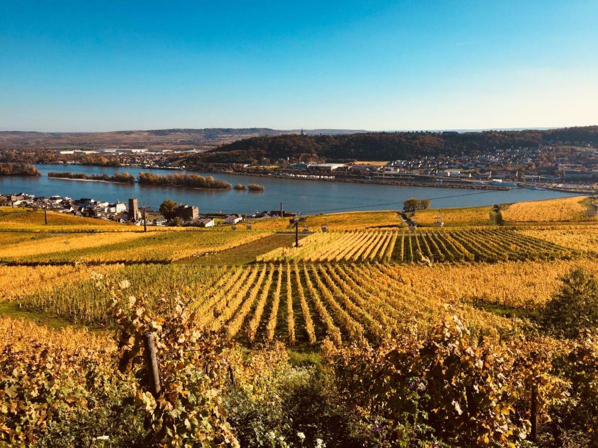 Altdeutsche Weinstube Hotel Rüdesheim am Rhein Kültér fotó